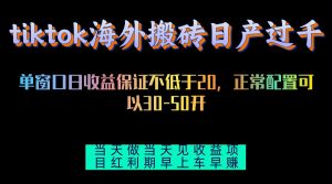 （13079期）tiktok海外搬砖项目单机日产过千当天做当天见收益9-enhui99