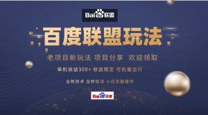 （13076期）百度联盟 单机300+课程分享 小白可无脑操作9-enhui99