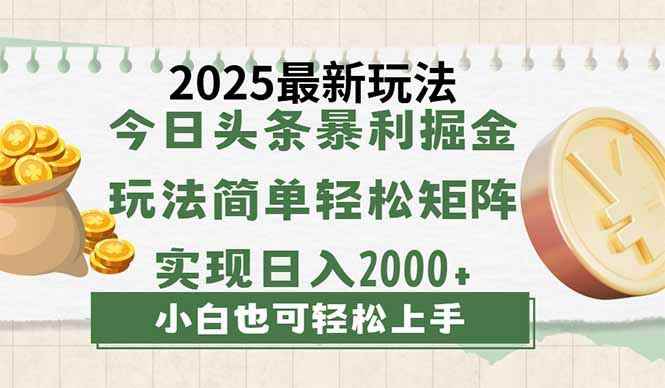 （14120期）今日头条2025最新玩法，思路简单，复制粘贴，轻松实现矩阵日入2000+9-enhui99