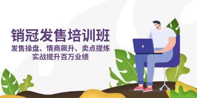 （14203期）销冠 发售培训班：发售 操盘+情商 飙升+卖点 提炼，实战提升百万业绩9-enhui99