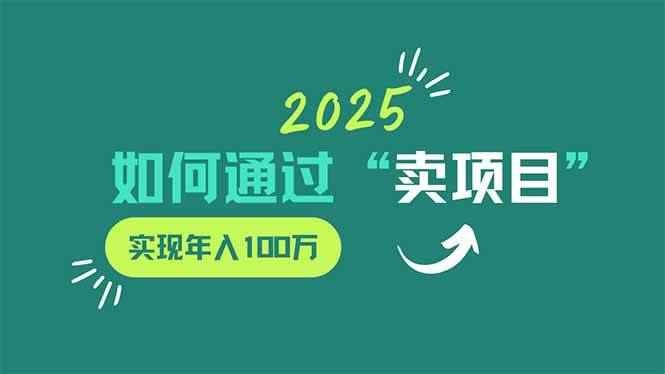 （14176期）2025年如何通过“卖项目”实现年入100万9-enhui99