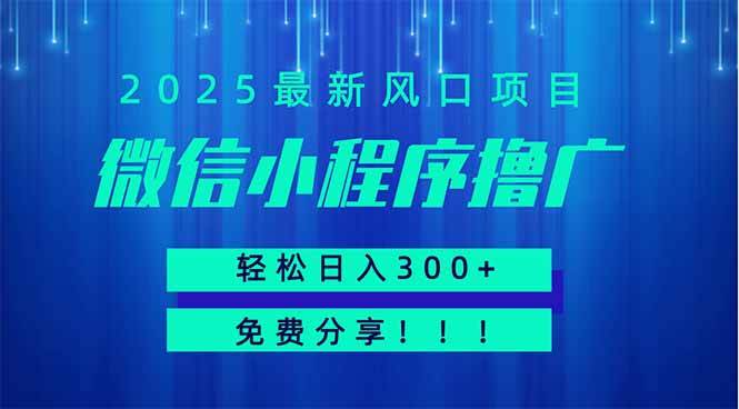 （14375期）微信小程序撸广，最新风口项目，日入300+ 免费分享 可批量操作 小白可…9-enhui99