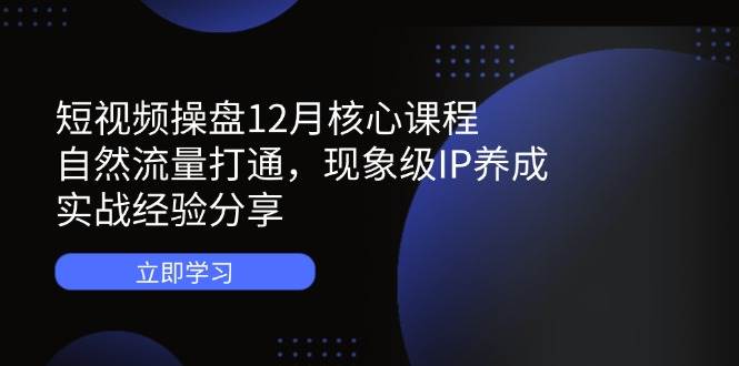 (14447期)短视频操盘12月核心课程:自然流量打通,现象级IP养成,实战经验分享9-enhui99
