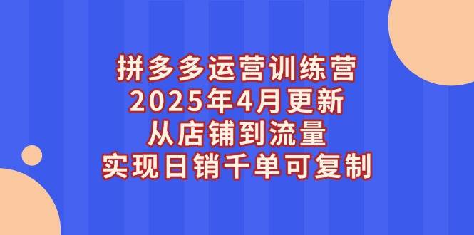（14469期）拼多多运营训练营2025年4月更新，从店铺到流量，实现日销千单可复制9-enhui99