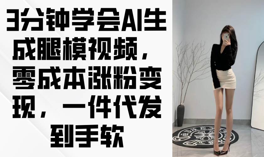 (14537期)3分钟学会AI生成腿模视频,零成本涨粉变现,一件代发到手软9-enhui99