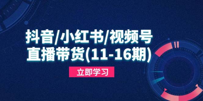 图片[1]9-（14611期）抖音/小红书/视频号/直播带货(11-16期)，快速掌握平台规则，打造爆款内容9-enhui99