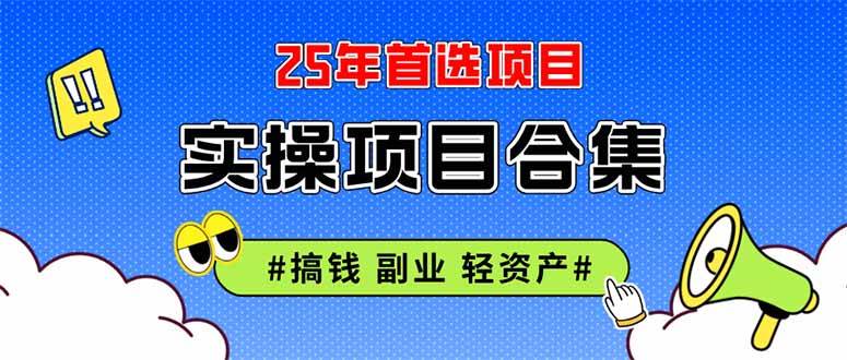 （14767期）2025实操项目合集 挂机类型 直播类型 轻资产创业类型 课程分享各项目介…9-enhui99