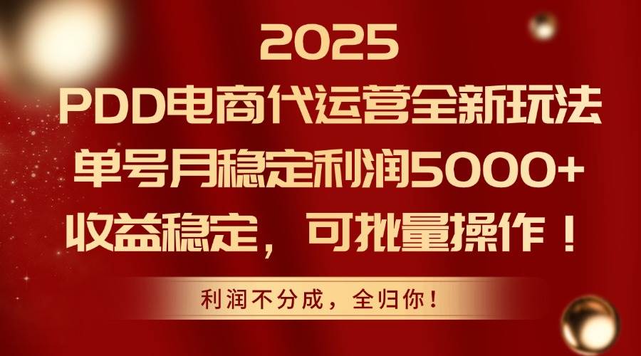 图片[1]9-（14839期）2025PDD电商代运营全新玩法，单号月稳定利润5000+，收益稳定，可批量操作9-enhui99