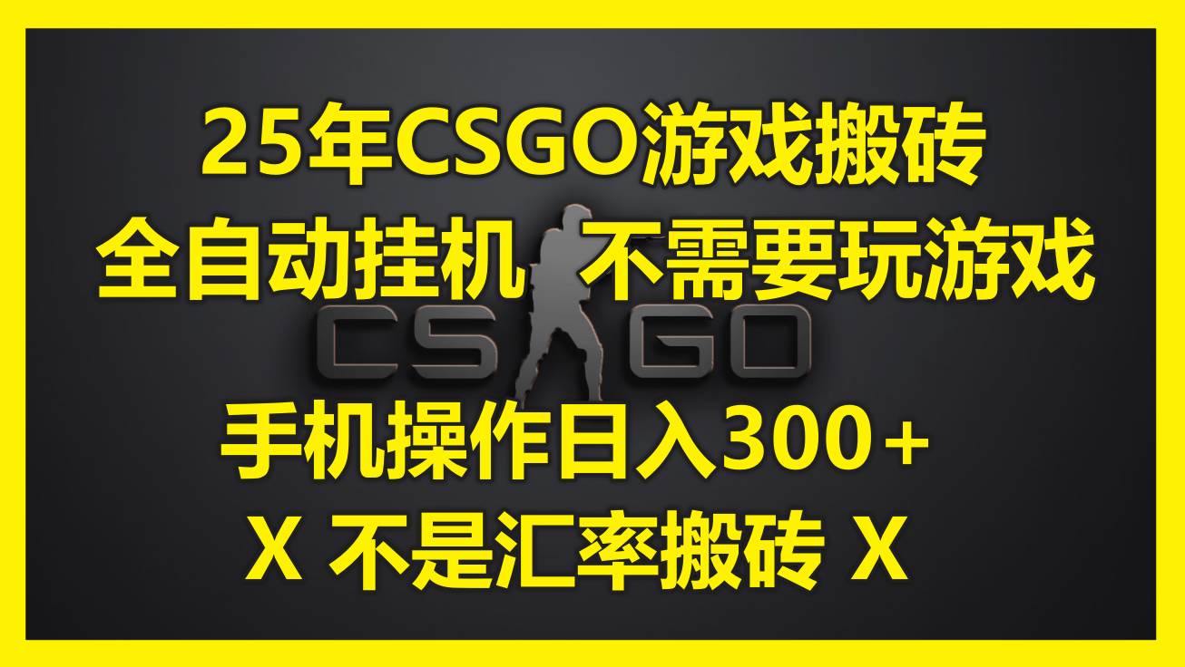 （14902期）25年CSGO游戏搬砖，全自动挂机，不需要玩游戏，手机操作日入300+。(不…9-enhui99