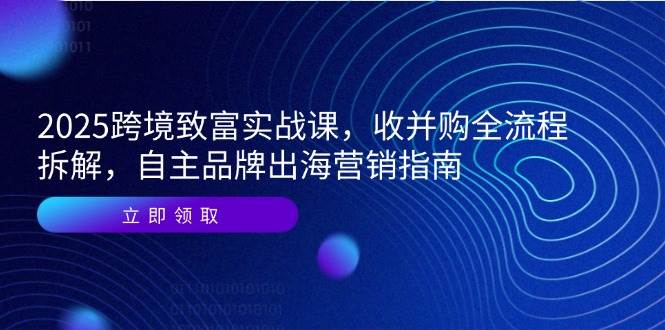 图片[1]9-（14975期）2025跨境致富实战课，收并购全流程拆解，自主品牌出海营销指南9-enhui99