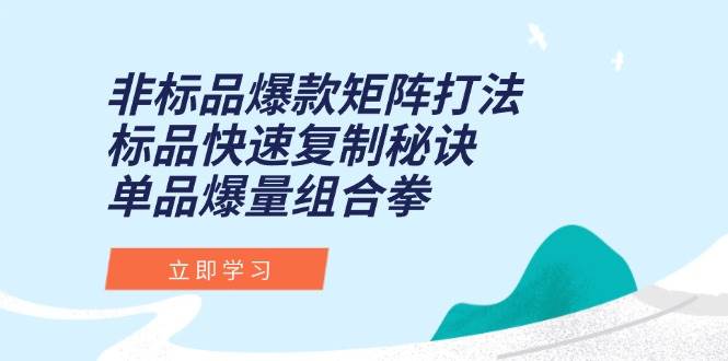 （15068期）非标品爆款矩阵打法，标品快速复制秘诀，单品爆量组合拳9-enhui99