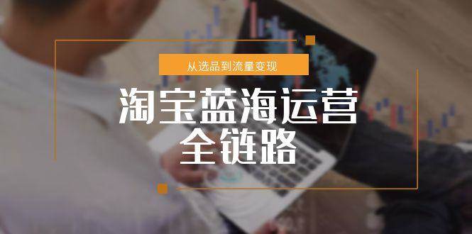 图片[1]9-（15160期）淘宝蓝海运营全链路，从选品到流量变现，小类目突围完整方案9-enhui99