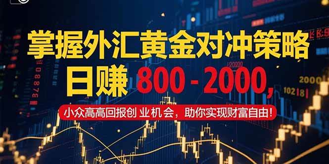 （15198期）掌握外汇黄金对冲策略，日赚 800 – 2000，小众高回报创业机会，助你实…9-enhui99