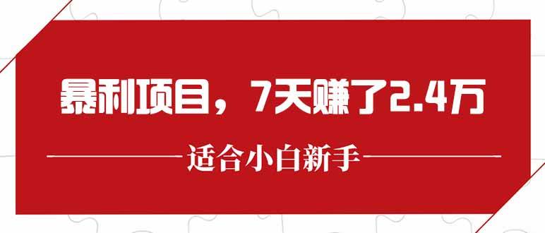 （15228期）最新暴利项目，每单收益轻松在300以上，7天赚了2.4万9-enhui99