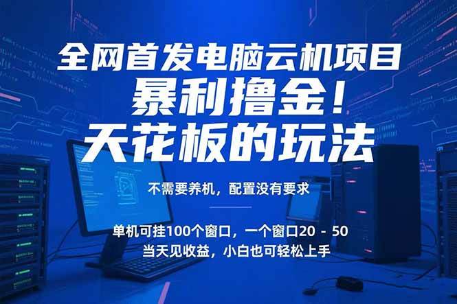 (15323期)电脑云机项目 暴力撸金玩法,不需要养机 配置没有要求 单机100个窗口一…9-enhui99