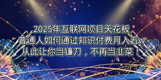 （15354期）2025年互联网项目天花板，普通人如何通过卖项目实现逆风翻盘，月入5W＋！9-enhui99