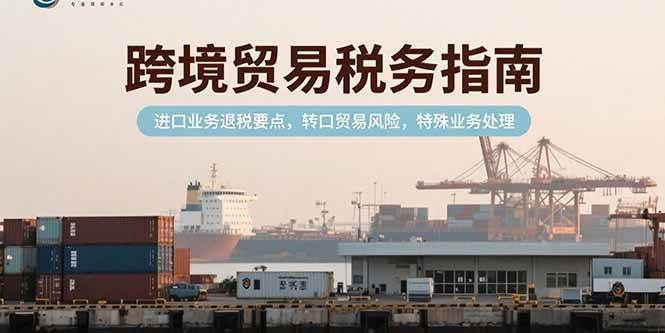 (15381期)跨境贸易税务指南,进口业务退税要点,转口贸易风险,特殊业务处理9-enhui99