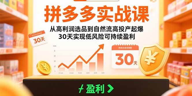（15586期）拼多多实战课：从高利润选品到自然流高投产起爆 30天实现低风险可持续盈利9-enhui99