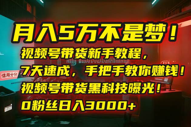 （15595期）月入5万不是梦！视频号带货新手教程，7天速成，手把手教你赚钱！视频号…9-enhui99