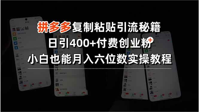（15613期）拼多多复制粘贴引流秘籍，日引400+付费创业粉，小白也能月入六位数实操…9-enhui99