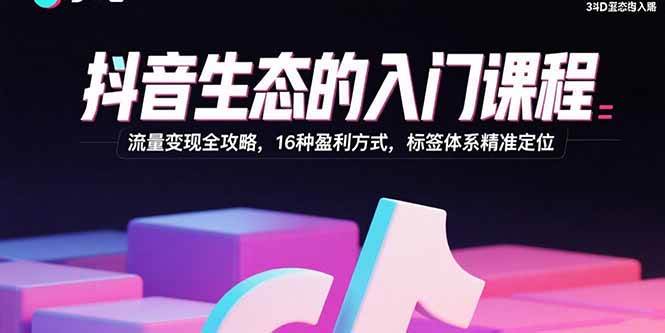 （15856期）抖音生态的入门课程：流量变现全攻略，16种盈利方式，标签体系精准定位9-enhui99