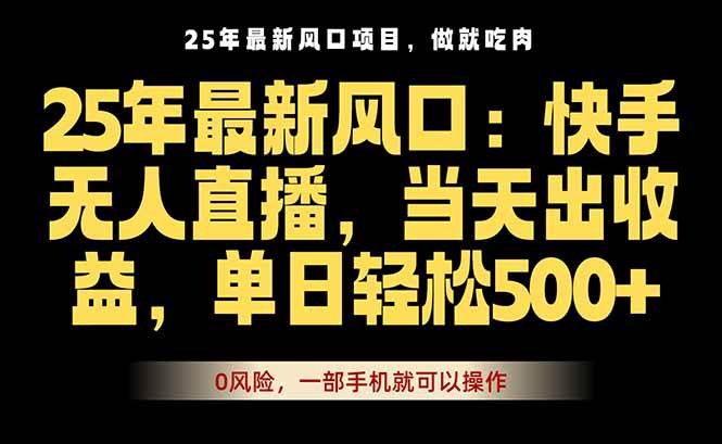 （16007期）25年最新无人直播玩法，当天秒出单，一部手机就可操作9-enhui99