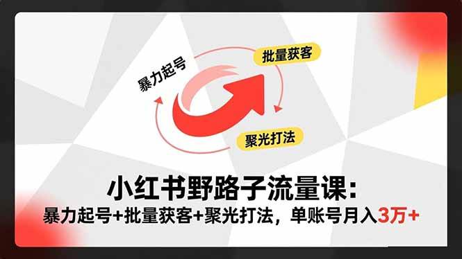 （16513期）小红书野路子流量课：暴力起号+批量获客+聚光打法，单账号月入3万+9-enhui99