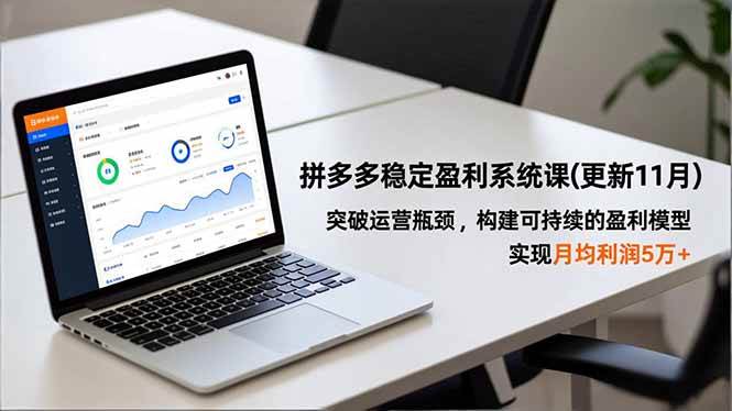 （16641期）拼多多稳定盈利系统课(更新11月)，突破运营瓶颈，构建可持续的盈利模型，实现月均利润5万+9-enhui99
