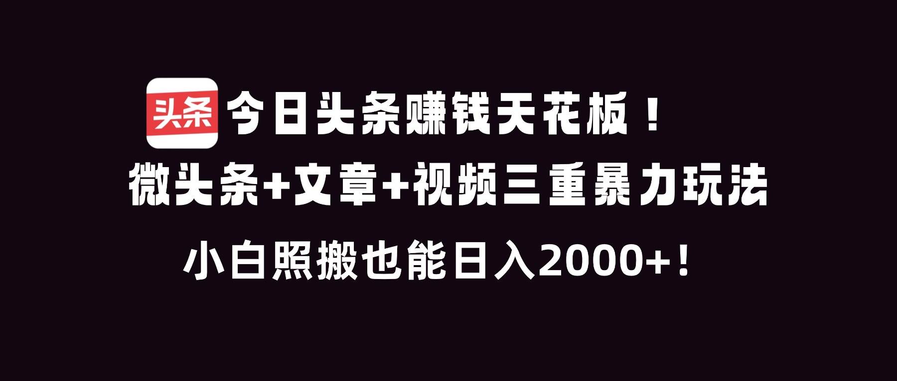 （16888期）今日头条赚钱天花板！微头条+文章+视频三重暴利玩法，小白照搬也能日人2000+9-enhui99
