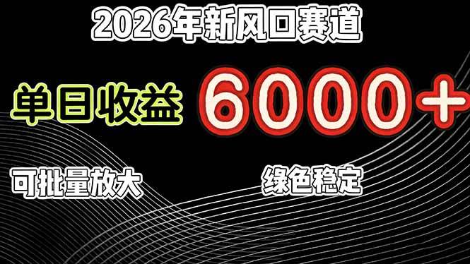 （17135期）2026年新风口赛道，当日6000+以上，可批量放大，月收入20万+，长期绿色稳定的项目9-enhui99