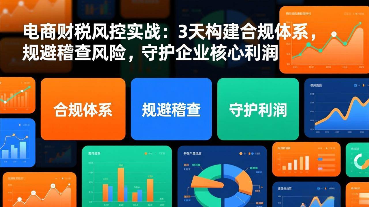 （17197期）电商财税风控实战：3天构建合规体系，规避稽查风险，守护企业核心利润9-enhui99