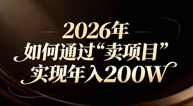 （17309期）站在2026年的十字路口：一个普通人如何通过卖项目实现年入200万9-enhui99